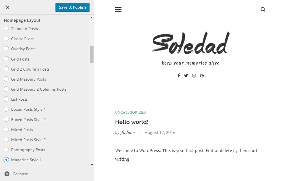 Soledad Theme Review Customizer 02