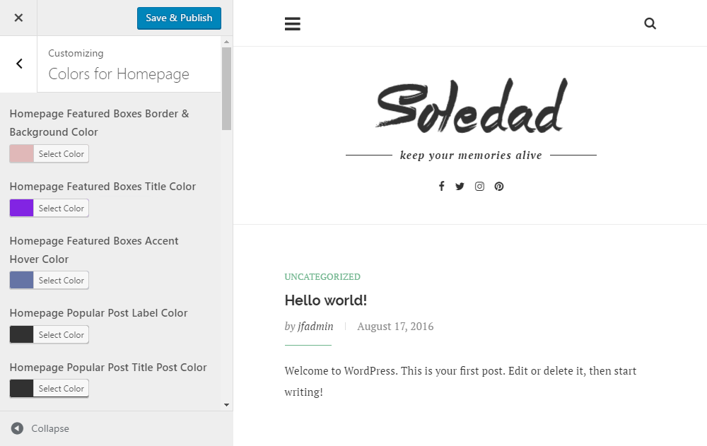 Soledad Theme Review Customizer 03